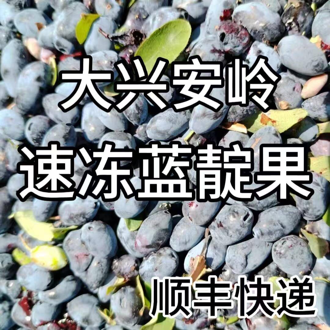 -东北添加大兴安岭鲜果速冻野生蓝靛果山茄子果羊奶子果榨果汁顺