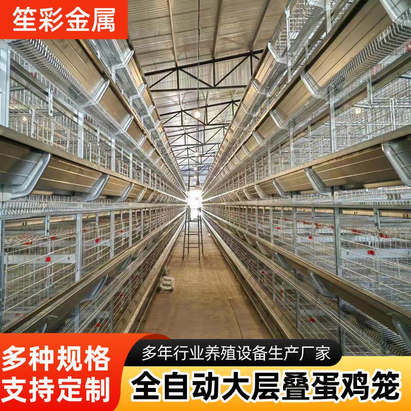 养殖设备镀锌全自动立体式鸡舍养鸡自动清粪多层叠养鸡全套设备