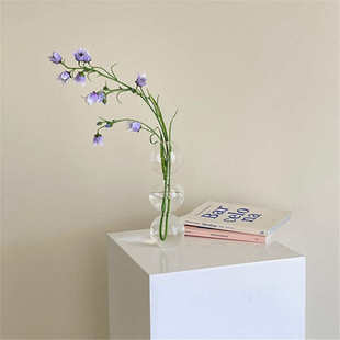 ins Nordic Creative Glass Bubble Vase Flower Arrangement