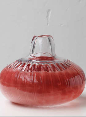 装饰品客厅水培软创意批发家居碧装小口摆件红轩南瓜透明石榴花瓶