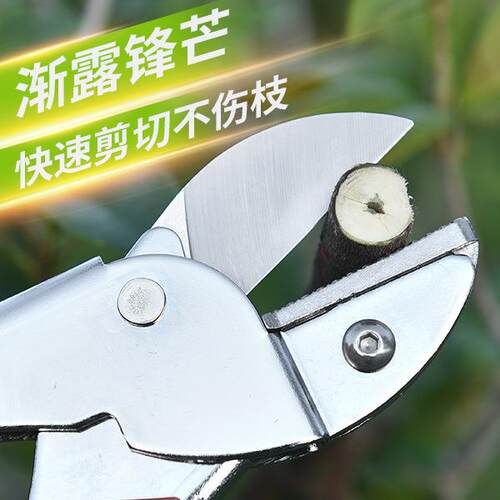 新款直销SK5钢 修枝剪刀园林果树粗枝花剪大力修剪树枝园艺剪刀剪