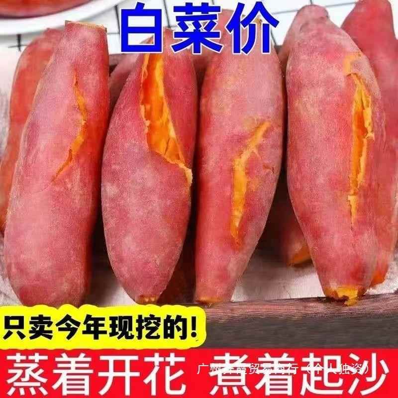 新鲜蜜薯9斤板栗红薯沙地糖心地瓜农家自种番薯现挖黄心香薯山芋