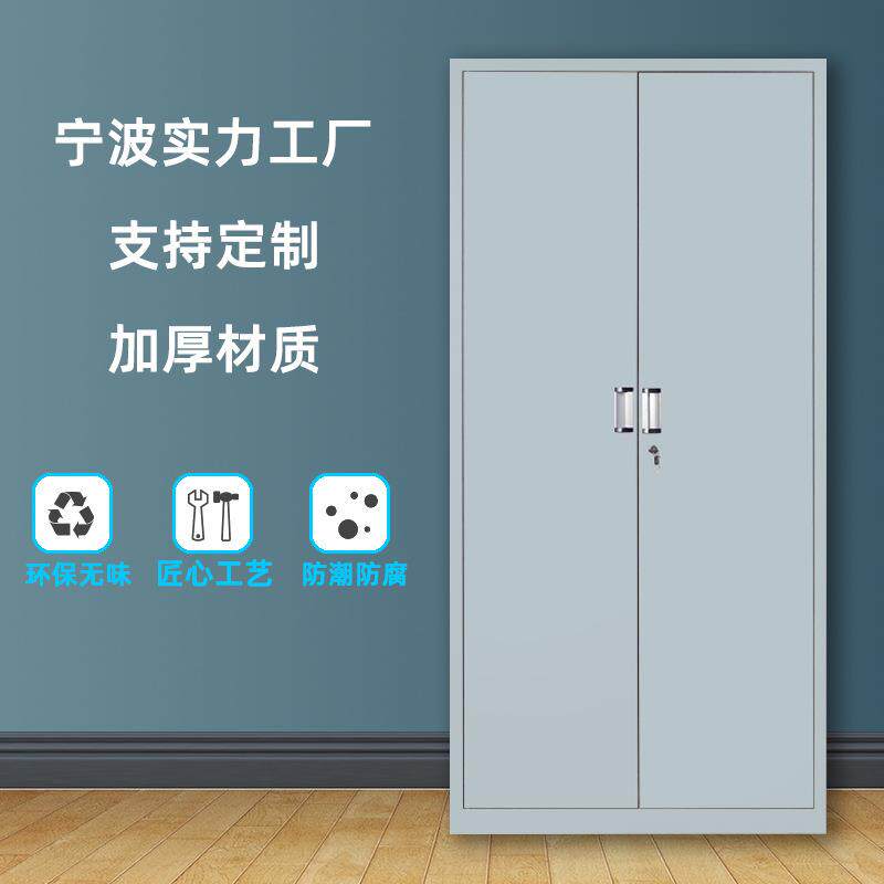 文件柜铁门柜钢制储物柜仓库杂物柜多层财务凭证柜员工碗柜铁皮柜