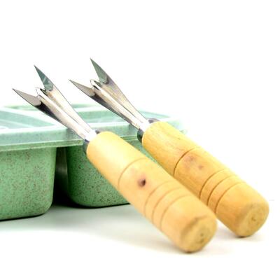 Naguo Home Use Stainless Steel Pineapple Corer V-Shaped Seed
