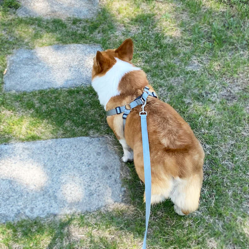 狗狗牵引绳背心式三角胸背带中小型犬遛狗绳大型犬防爆冲宠物链子