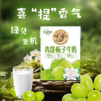 青提栀子牛奶光合研究所太子早餐网红饮料光合颜究所牛奶整箱饮品