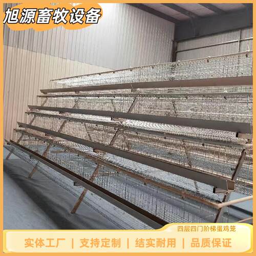 养鸡笼4层4门阶梯蛋鸡笼镀锌工艺养殖设备可零售