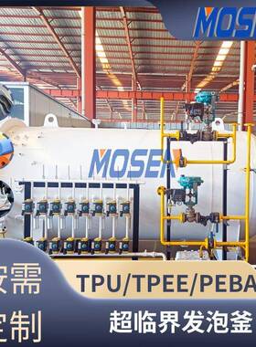 高分子材料发泡釜超临界TPEE/PEBA/EVA发泡罐高压釜生产厂家