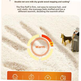 carpet living rugs rug 客厅地毯 floor home mat carpets room