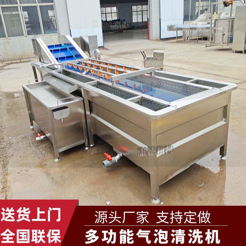 石榴高压喷淋气泡清洗机杏干水果干气泡清洗机柠檬毛辊清洗机