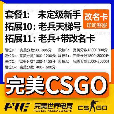 完美csgo号新手老兵cs2账号成品小号天梯白号d号低分c号世界平台