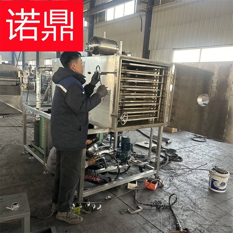 果肉类冻干机 小型水果冻干机器厂家 小平方实验型冻干机 节能