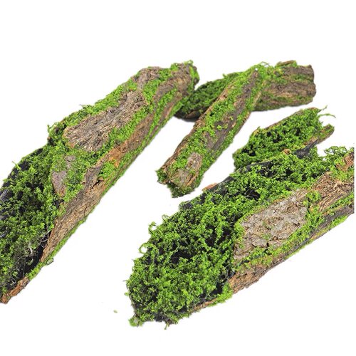 现货速发创意青苔树皮装饰摆件花器森系造景布置热带雨林场景搭配