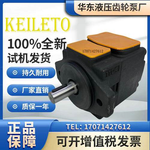 高压叶片泵PV2R1-31FR液压油泵PV2R1-28 25 23 19 17 14 12 10-FR