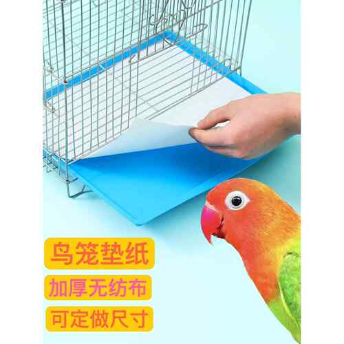 达洋各类鸟笼清理方便鸟笼垫纸一次性吸水粪便托盘鸟屎垫宠物尿垫