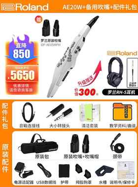 正品oland罗兰吹管AE20 RE3电0中老年人娱乐初学A电子萨克斯葫芦