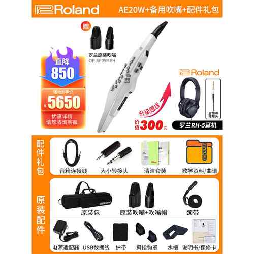 正品oland罗兰吹管AE20 RE3电0中老年人娱乐初学A电子萨克斯葫芦