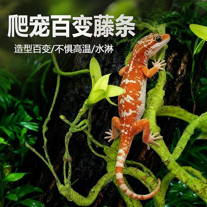 爬宠树枝爬虫缸雨林缸树蛙睫角变色龙蜥蜴饲养箱造景攀爬藤条装饰