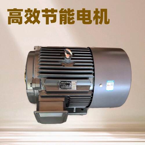 YE2YE4Y2YYE3-315L--6-132W6极三相电机三相异步电动机电
