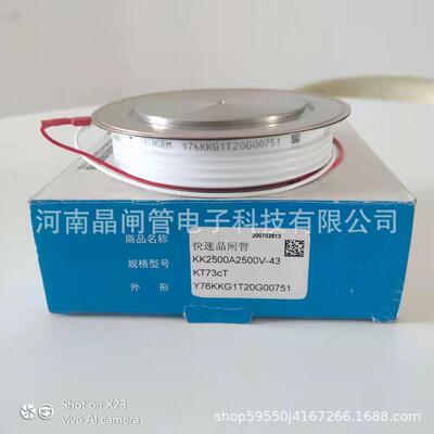 TECHSEM湖北台基可控硅Y76KKG2500A2500V2800V/3000V快速晶闸管
