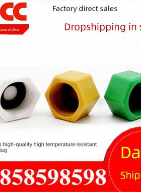 Dn15内线插头4点内线插头1/2内线插头帽Ppr塑料插头Ppr管道插头隔