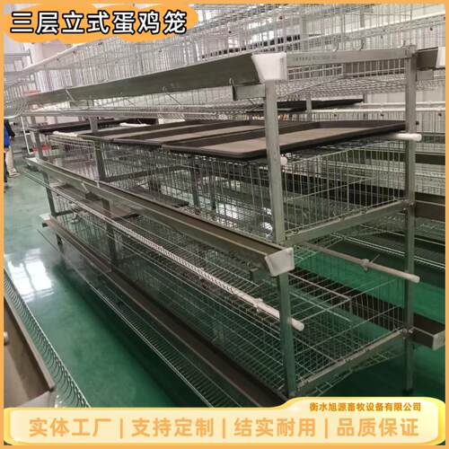 三层立式蛋鸡笼可做4层加粗镀锌笼网结实耐用可零售