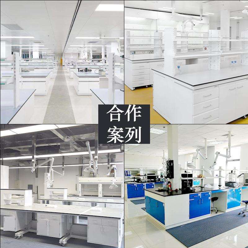 浙江实验室工作台全钢万向抽气罩实验桌耐酸碱底柜边台中央操作台