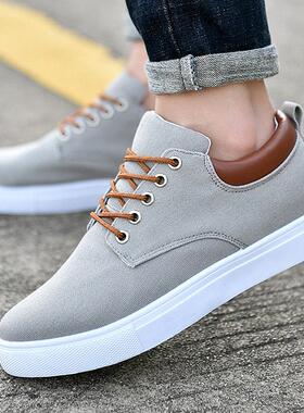 Big plus size casual shoes men