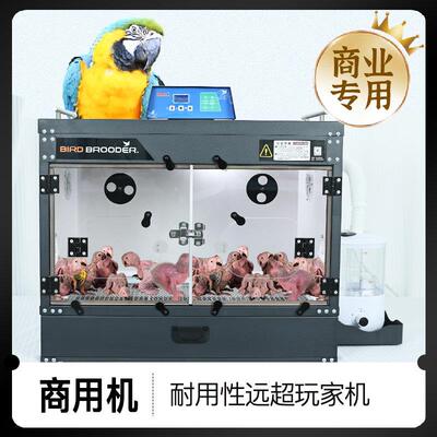 黑尖保温箱恒温玄凤柯尔鸭牡丹鹦鹉幼鸟专业自动控温湿度包邮