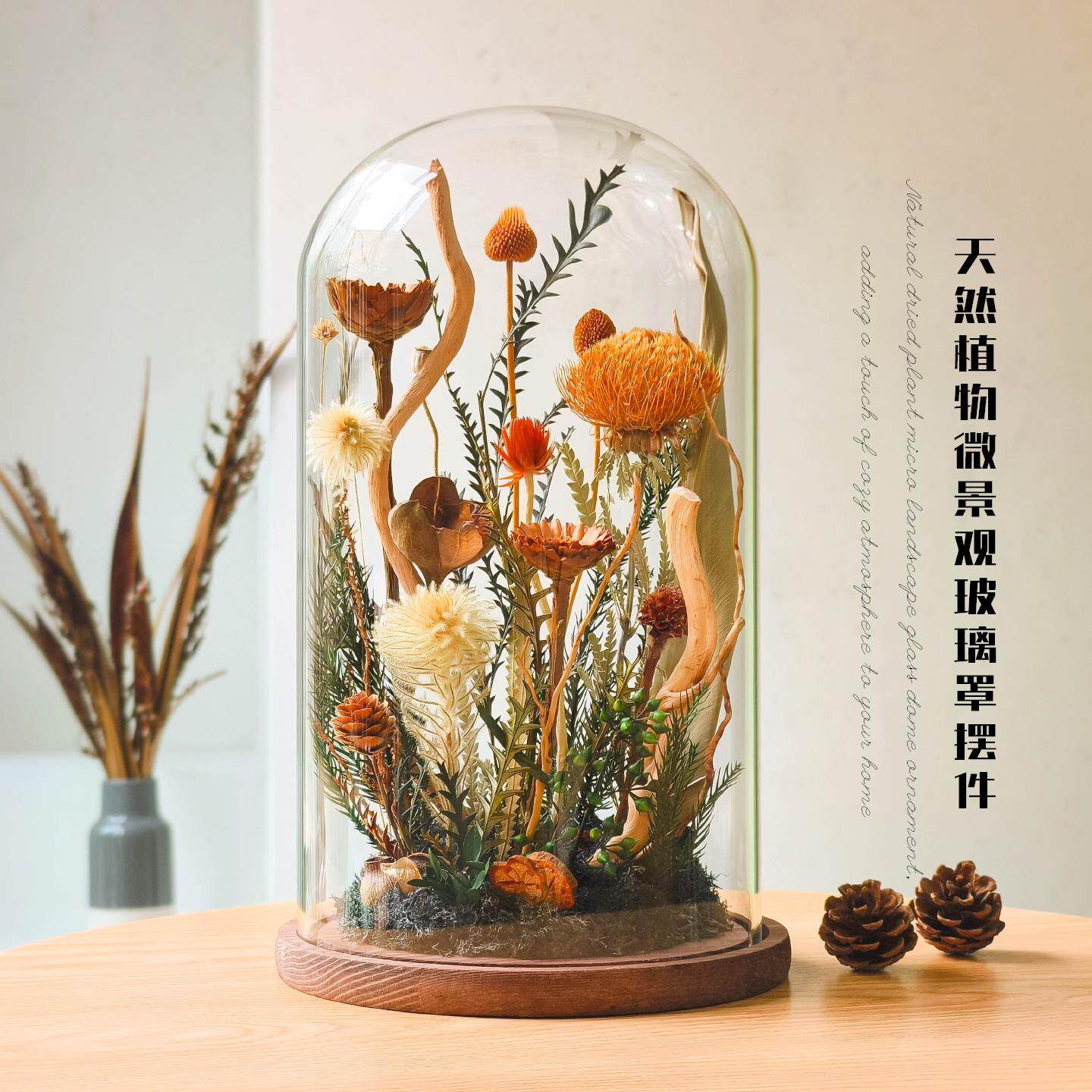 植物干燥花微景观玻璃罩样板间样品屋展示中心装饰高端软装摆件搬