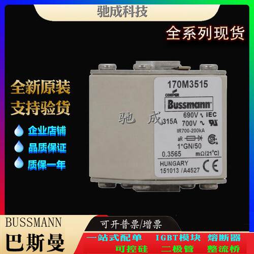 巴斯曼170M3512 170M3513 170M3514 厂家原装优价供应 快速保险丝