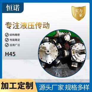 载机溶胶注塑机马达 外五星液压马达低速大扭矩H45系列装