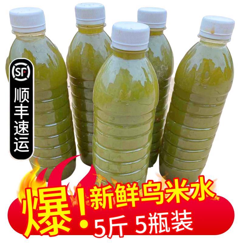 野生新鲜乌树叶汁2500g南斤烛叶水乌饭汁水制作乌饭乌饭草汁米5装