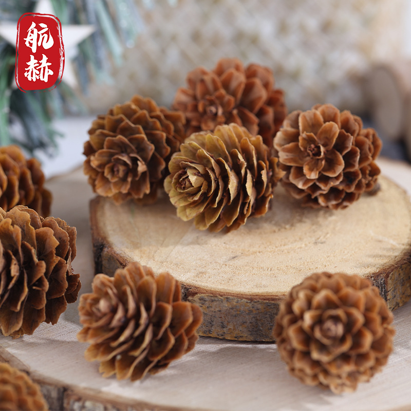 松花松果干花装饰材料圣诞装饰品
