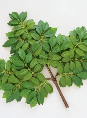 仿真榆树叶手感过胶塑料榆树枝绿色植物叶子假树枝工程装饰造景