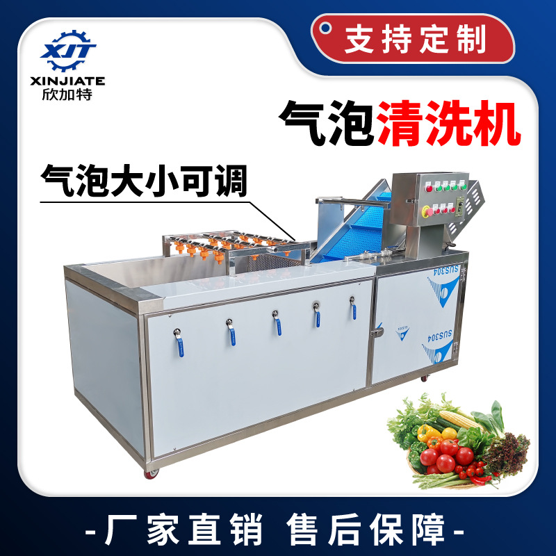 厂家直销全不锈钢蔬菜清洗机 气泡清洗机 净菜加工果蔬臭氧洗菜机