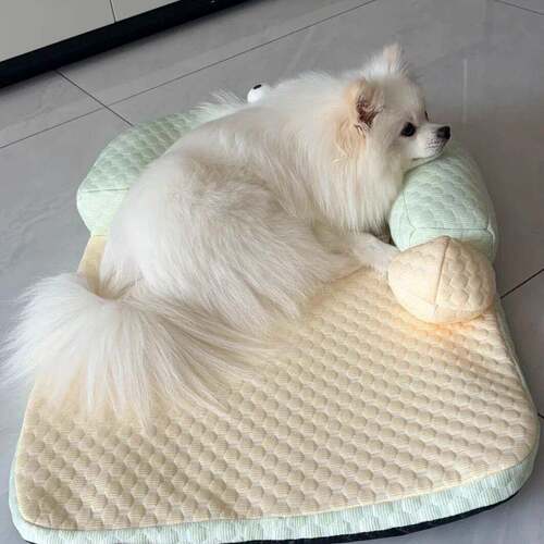 冰豆豆猫狗垫子四季通用加厚靠枕博美中小型犬夏季凉感宠物垫