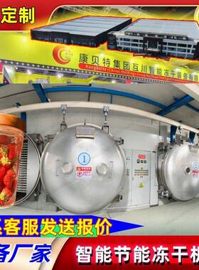 冻干机家用可民用冻干设备商用大型蓝莓水果蔬菜真空冷冻干燥机