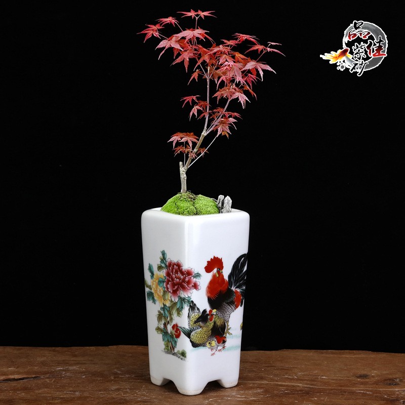 陶瓷白色贴花釉盆紫砂多肉小花盆创意迷你办公室桌面签筒花盆