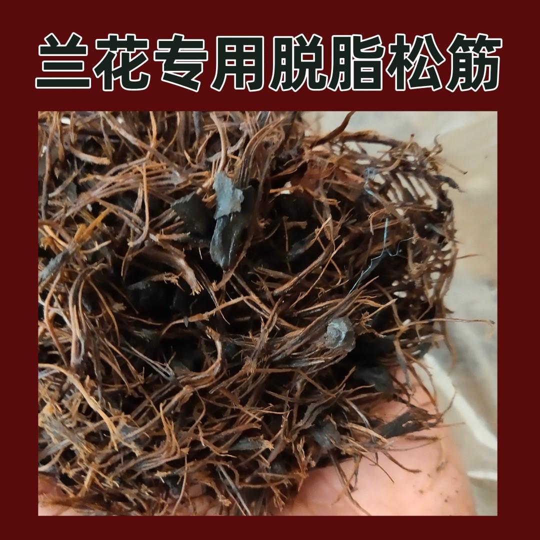 松筋兰花植料兰花土兰花营养土松苞壳兰花专用土松塔筋疏松透气