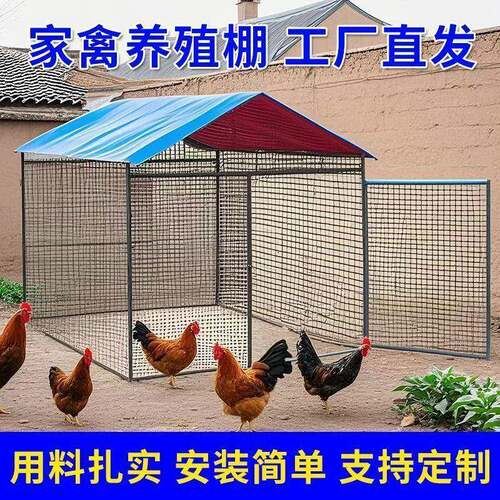 鸡棚鸡笼特大号家禽养殖兔笼防雨孔雀搭建鸽笼特大号大型家用鸡舍