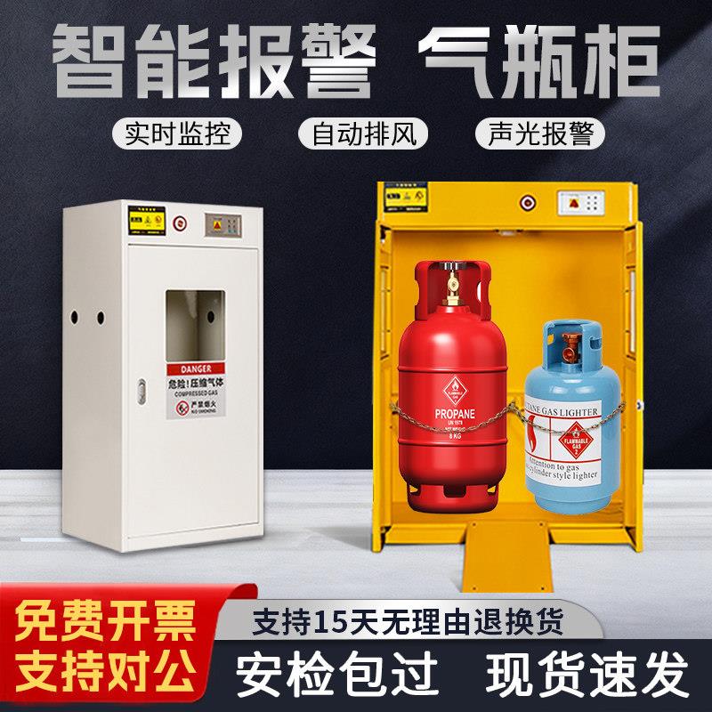 弗莱仕全钢防爆气瓶柜实验室乙炔氧气带报警安全储存双瓶煤气罐柜图片
