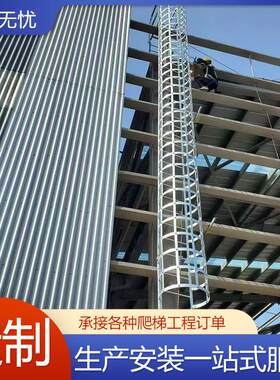 不锈钢热镀锌爬梯护笼 基坑电力建筑施工输送梯 屋面检修梯