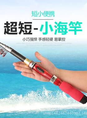 超短海竿迷你小鱼竿抛竿甩竿钓鱼竿旅游鱼杆口袋竿钢笔竿冬钓