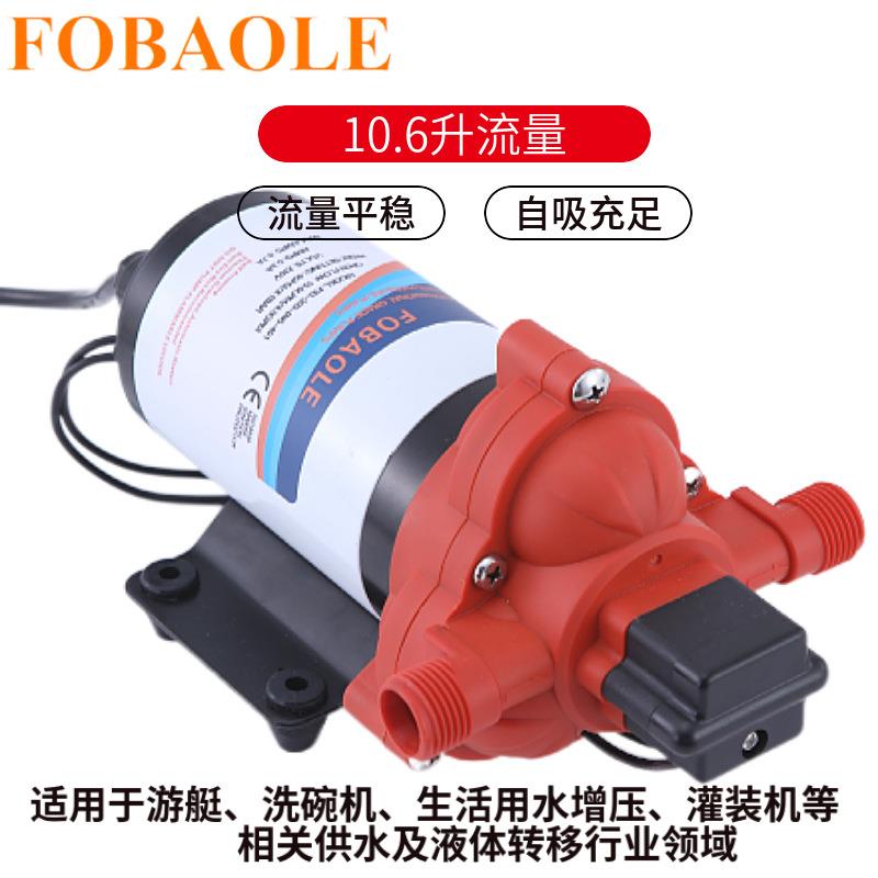 115V交流压自吸隔膜房车游艇生活供水压抽水泵10.6升流量20V