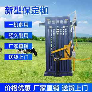 保定枷牛羊马驴骡用 修蹄去角验胎防疫打针输液手术检验检疫称重