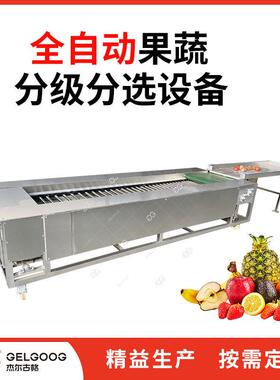 红枣清洗风干生产线设备大枣分选分拣筛分机械枣大小分级机器
