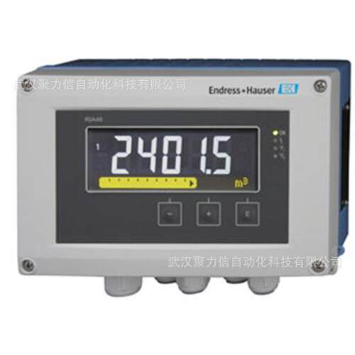 E+H恩德斯豪斯模拟式电极CPS11-2BA2ESA原装
