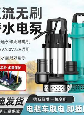 永磁无刷直流潜水泵大流量1寸2寸3寸4寸直流泵48V60V电动车抽水泵