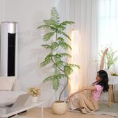 彷真绿色植物蓝色 花楹高端轻奢假绿植客厅落地摆件大型盆栽假树